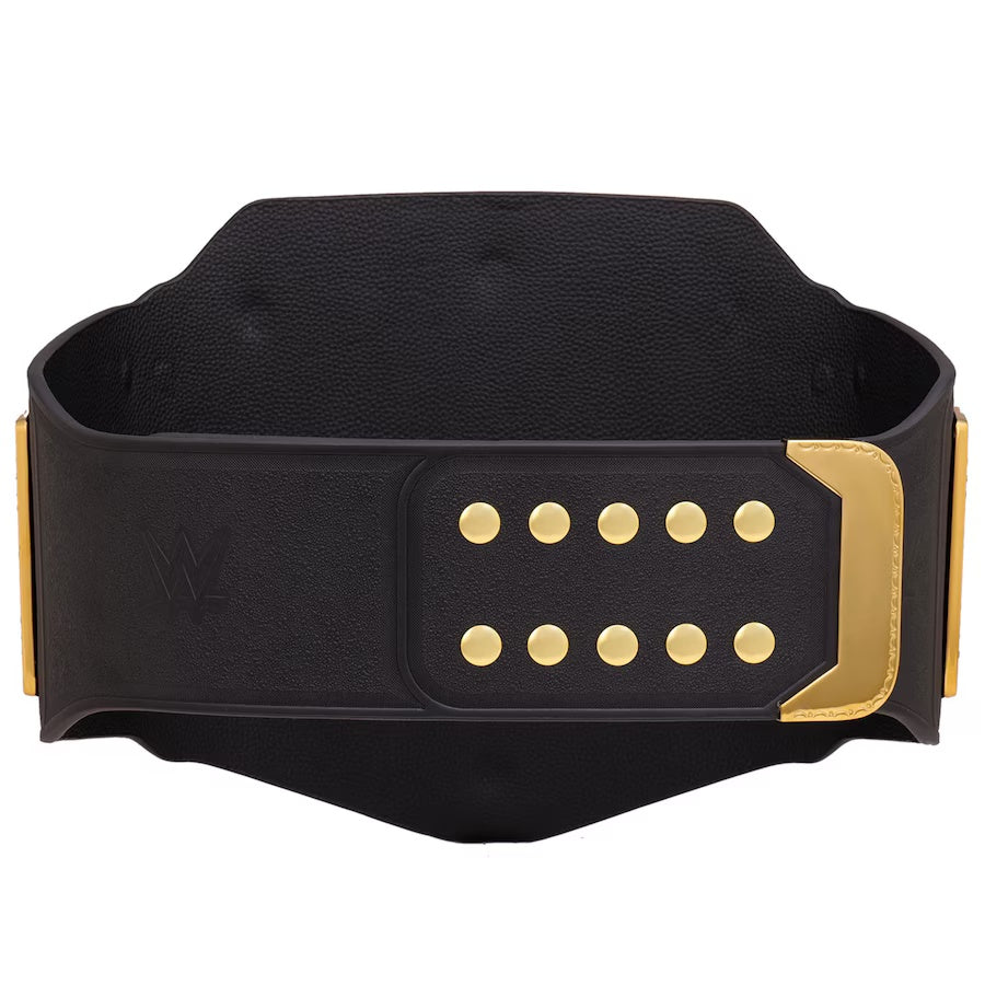 Championship Title Belt