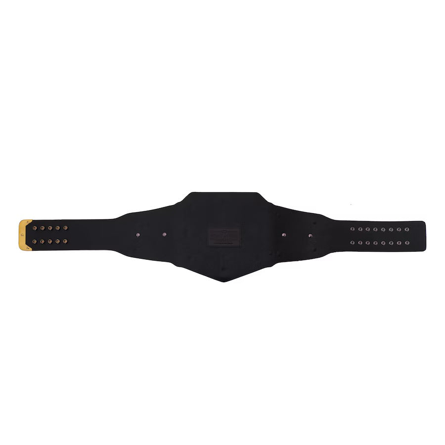 Championship Title Belt