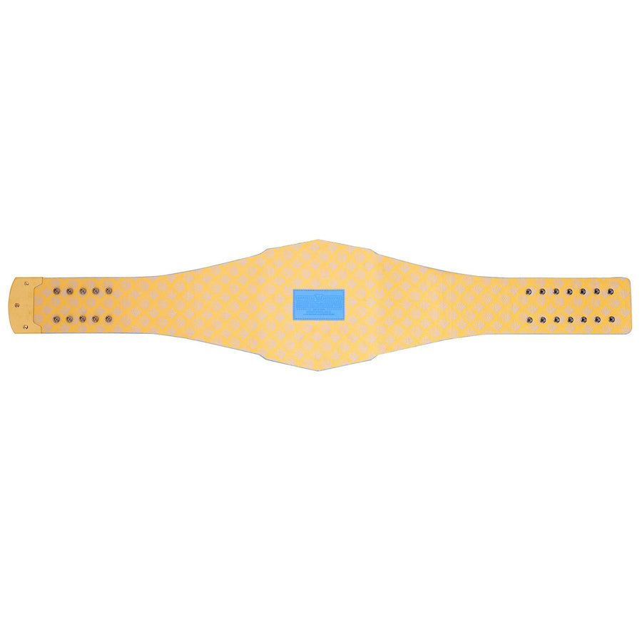 Los Angeles Chargers Legacy Title Belt