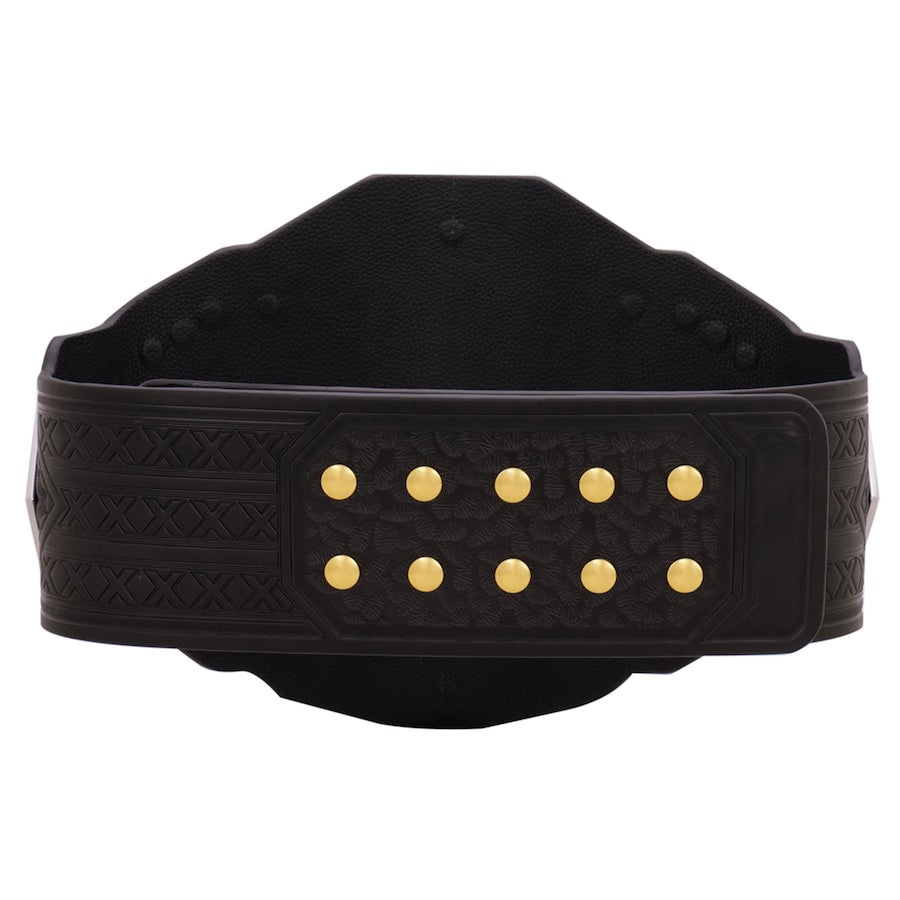 NXT Championship 2024 Replica Title Belt