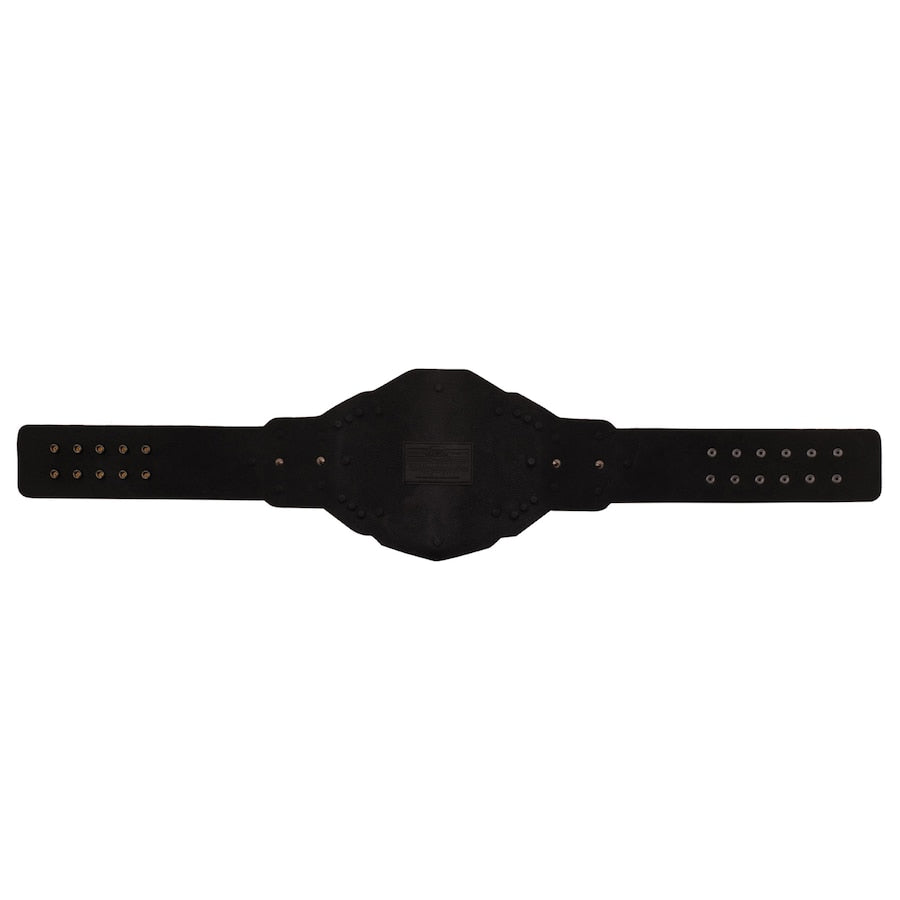 NXT Championship 2024 Replica Title Belt