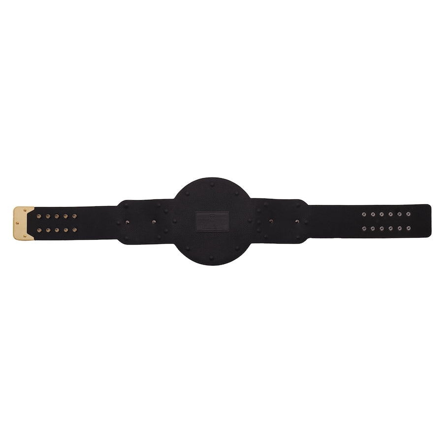 World Tag Team Championship Replica Title Belt