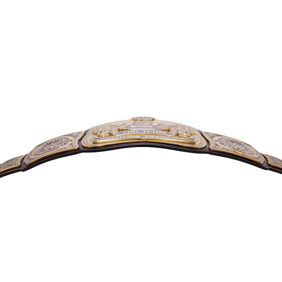 Tag Team Championship Replica Title Belt