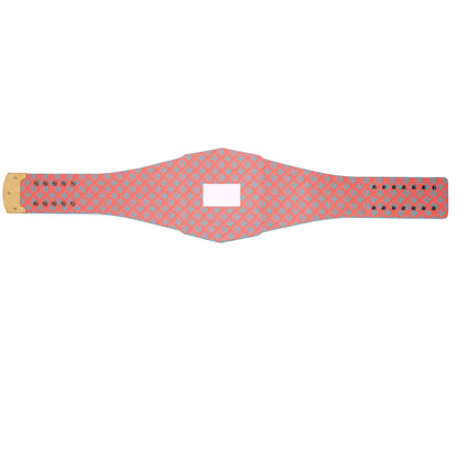 Miami Dolphins Legacy Title Belt