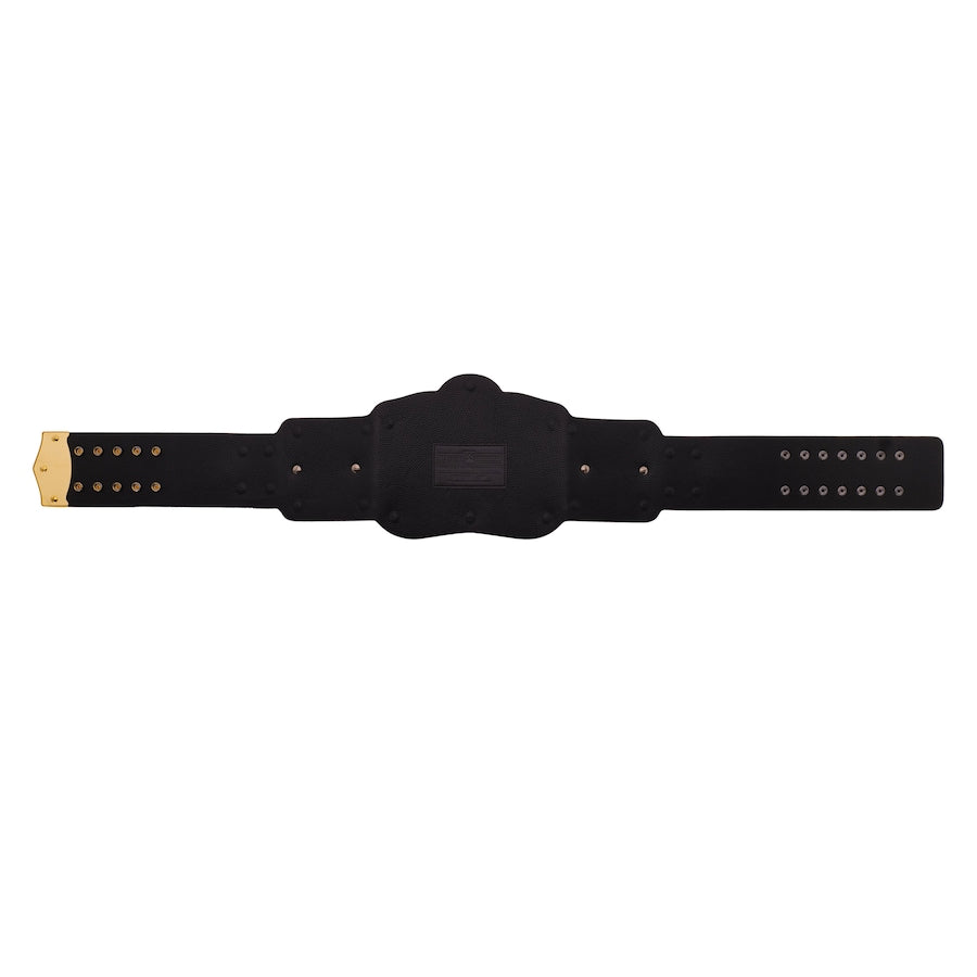 Tag Team Championship Replica Title Belt