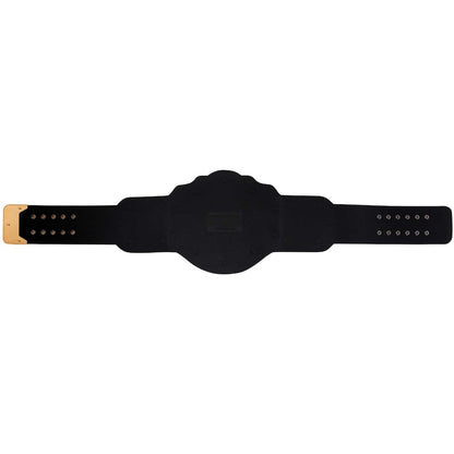 World Heavyweight Championship Commemorative Title Belt