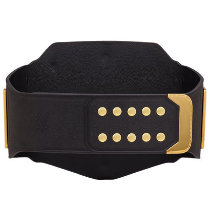 Championship  Title Belt