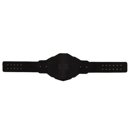 NXT Championship 2024 Replica Title Belt