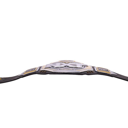 NXT Championship 2024 Replica Title Belt